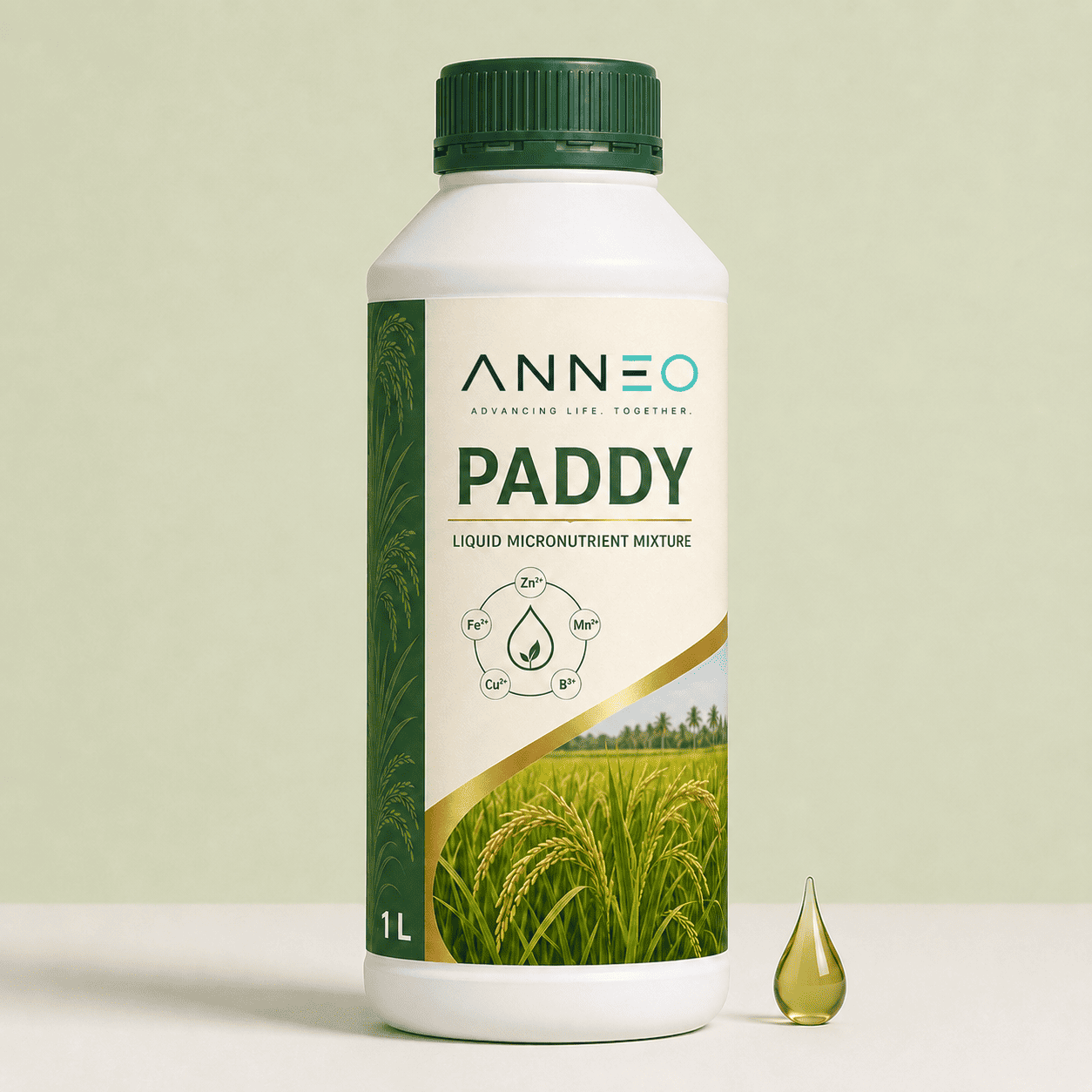 Paddy basal micronutrient